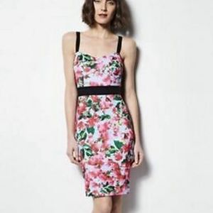 Milly War of Roses Dress Size 8